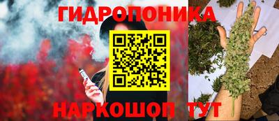 сатива Донецк